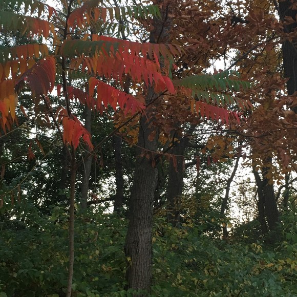 Meet your Posher, Jesus - Picture 1 of 1